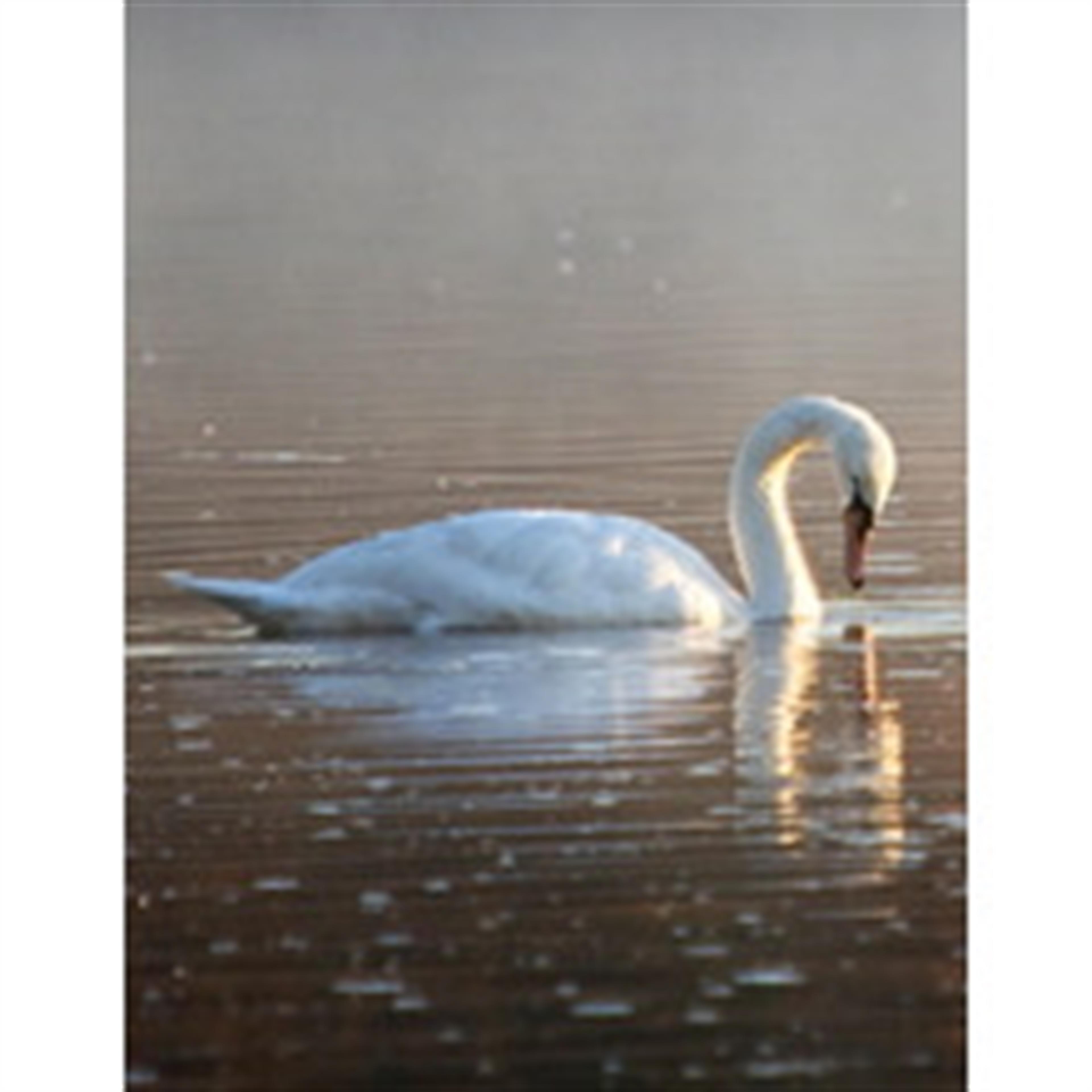 Ethyle Louise Hanson