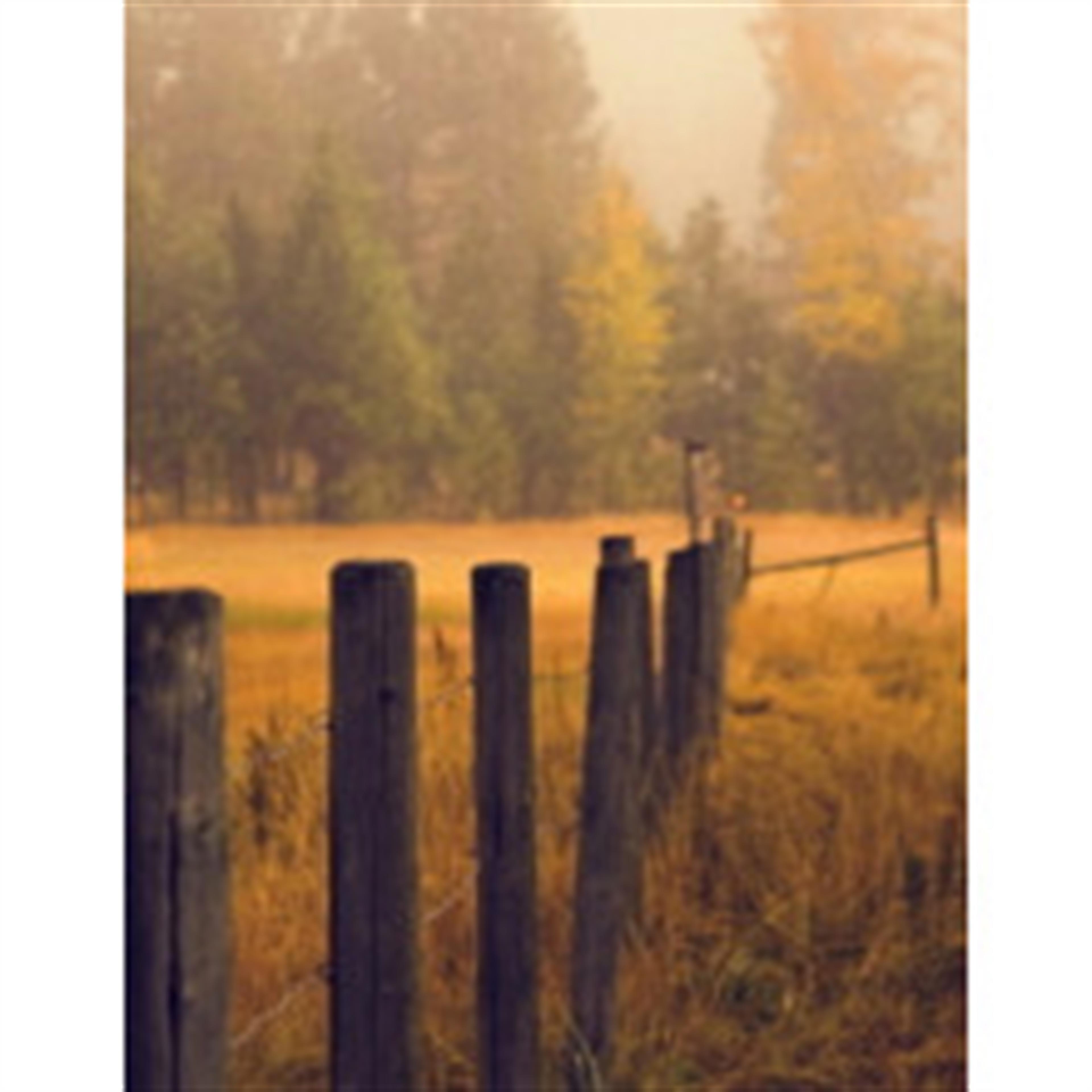 Clyde Jennings Jr.'s obituary picture