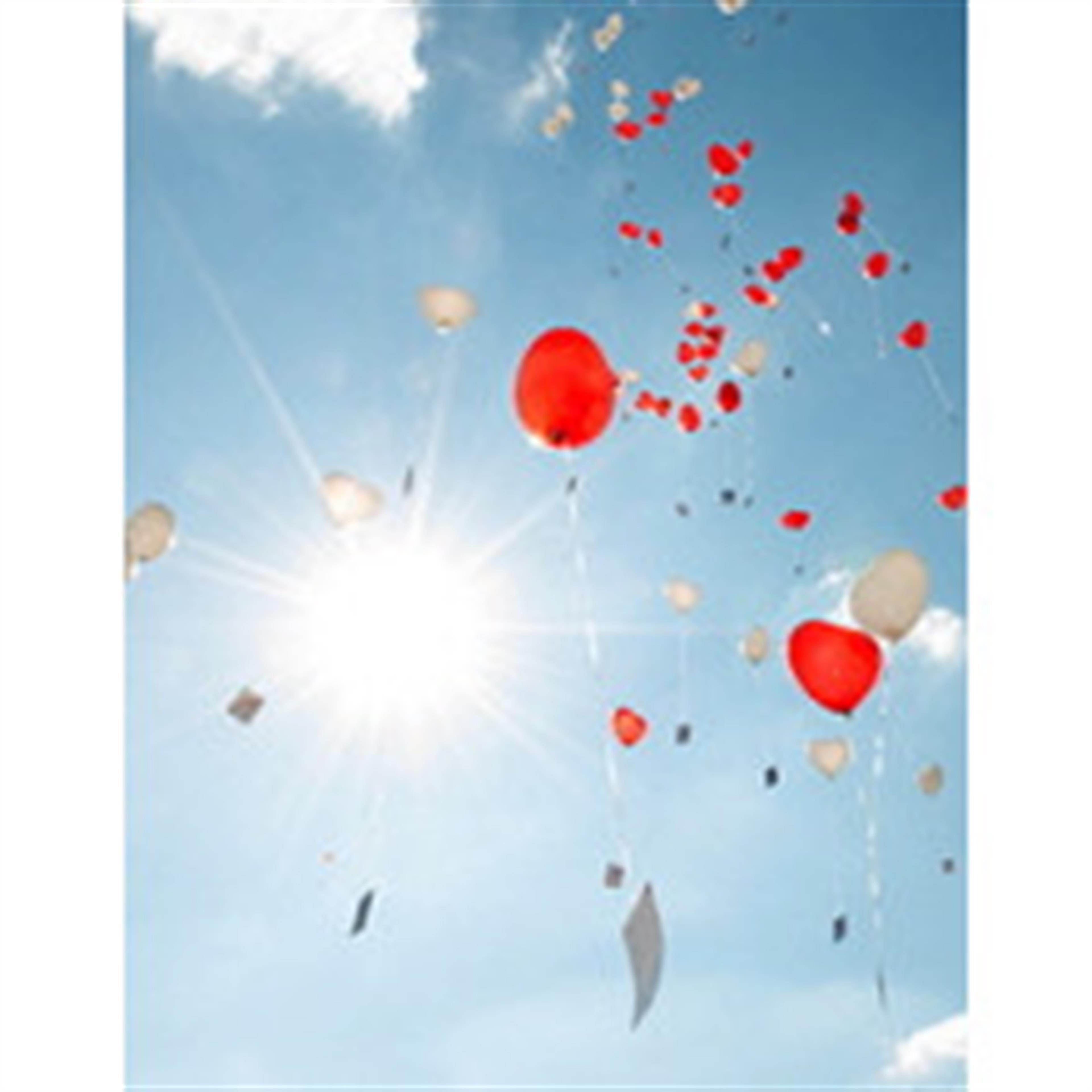 Robert LeRoy Keeler's obituary picture