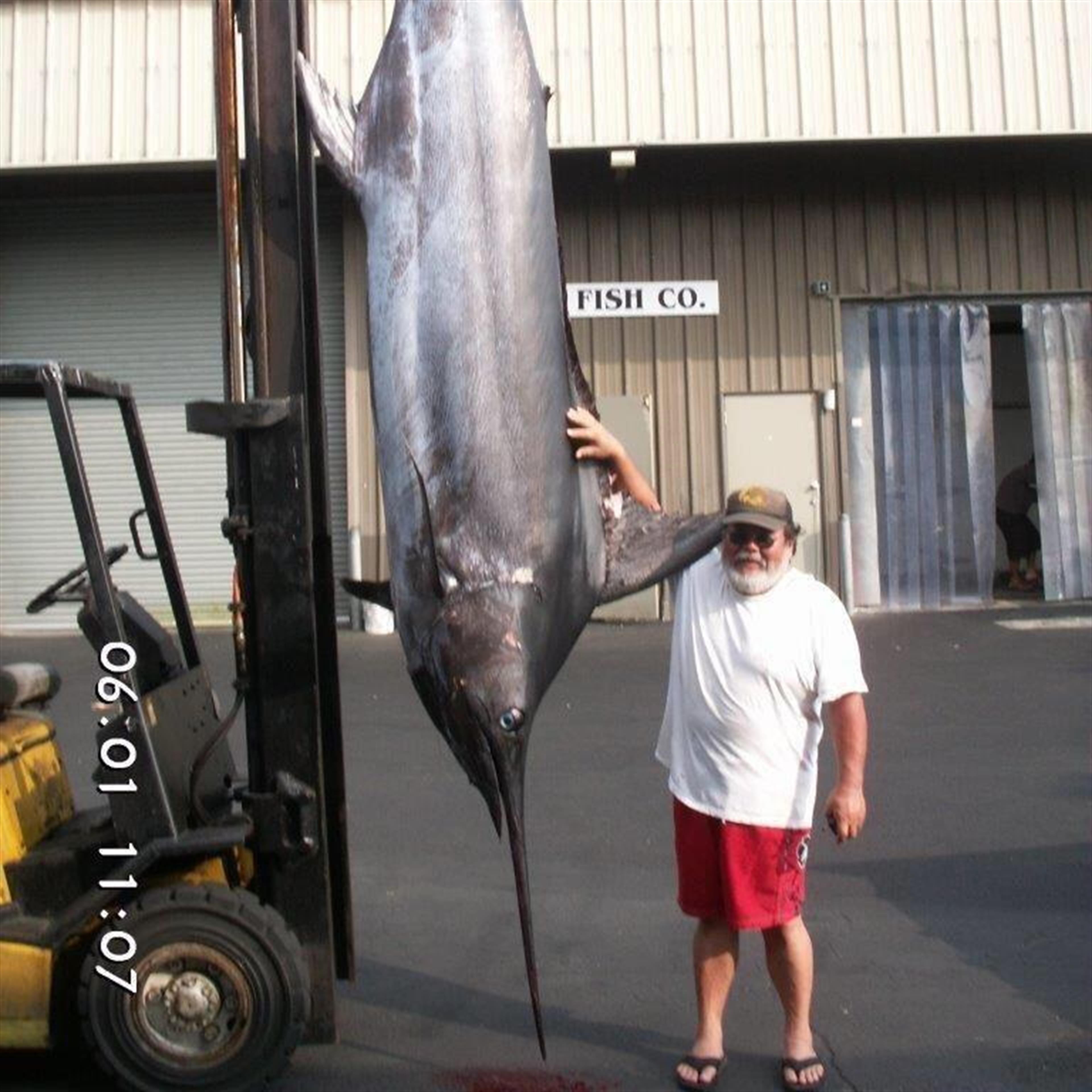 Wesley Katsumi Murakami's obituary picture