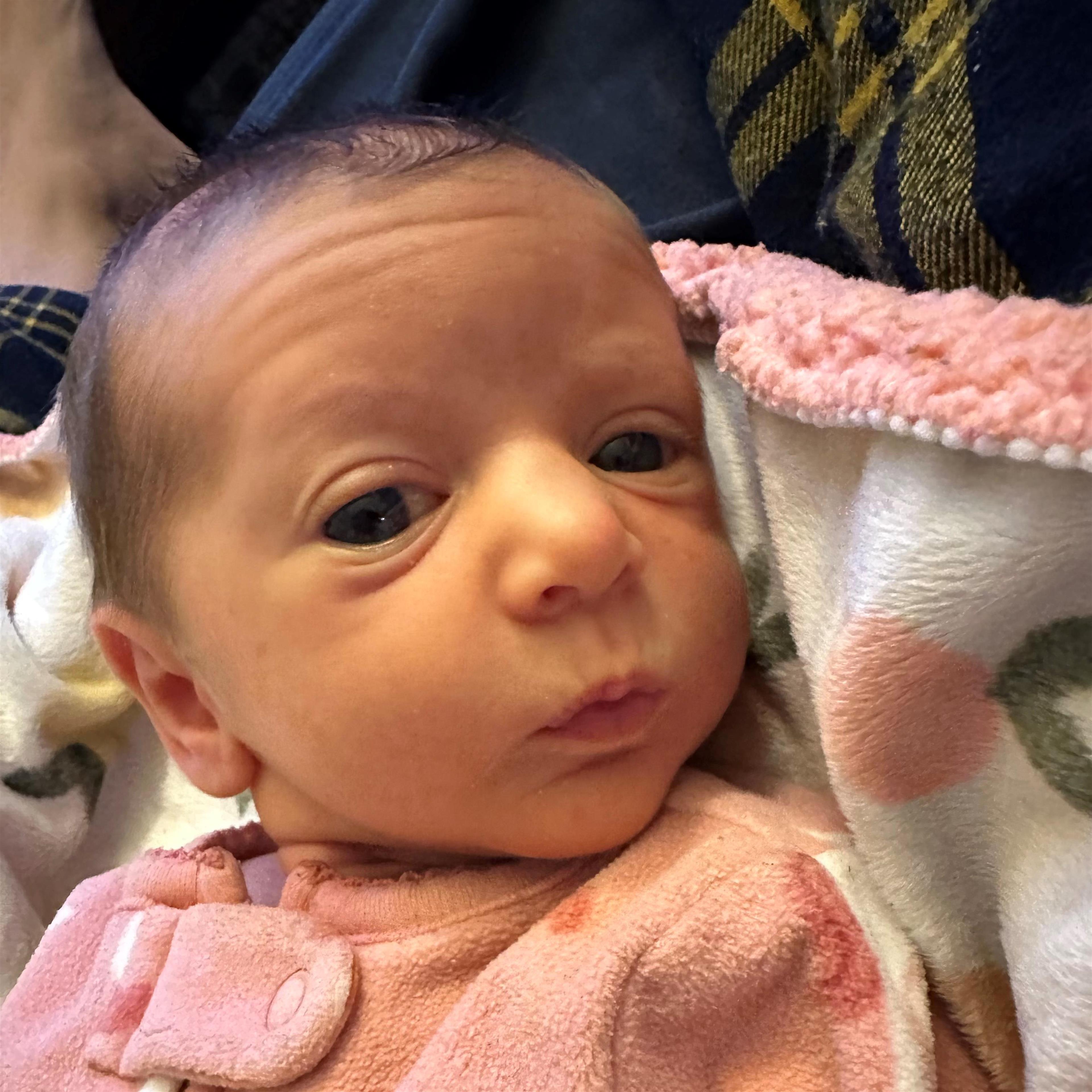 Novella Mariposa Erickson's obituary picture