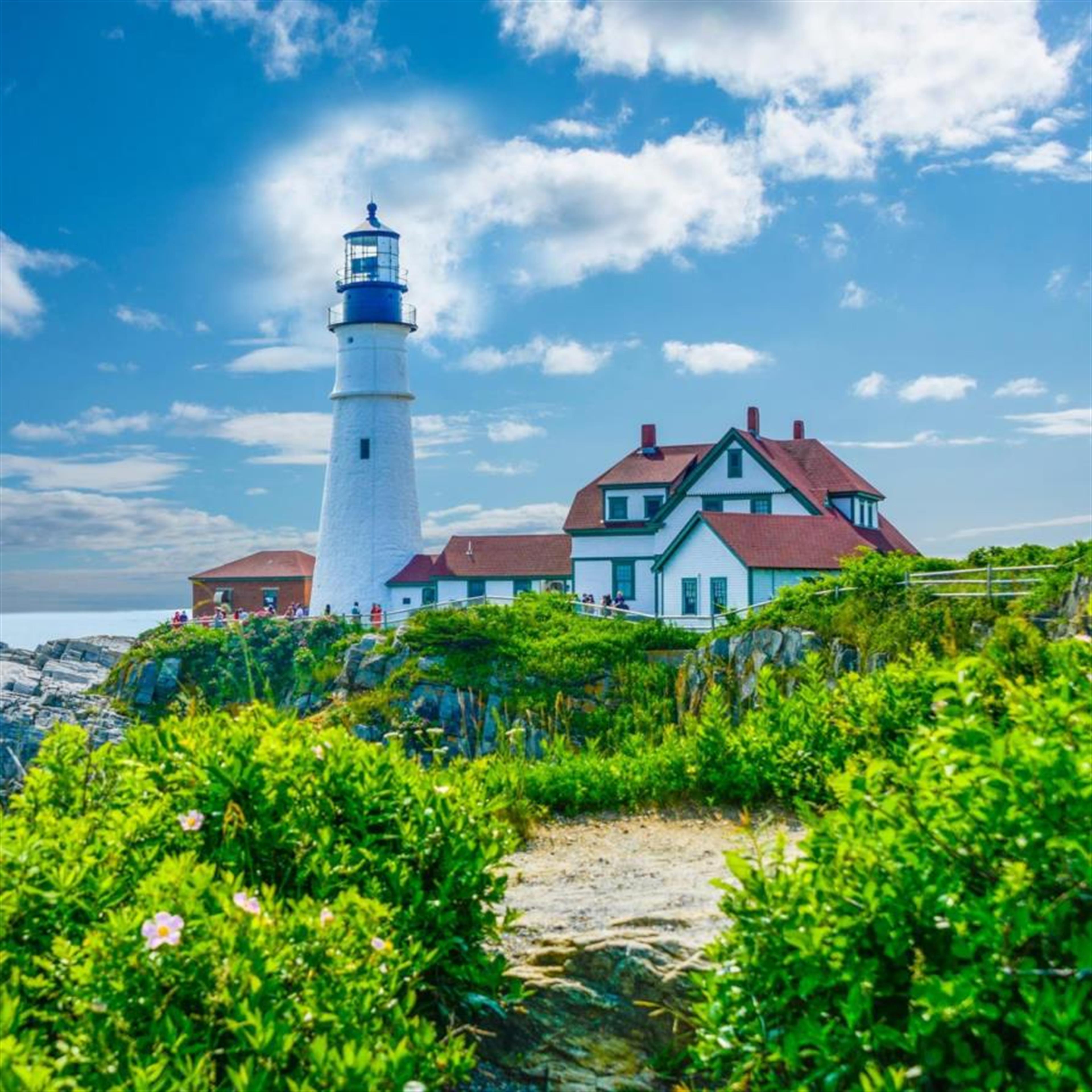 Michael Steven Deacon