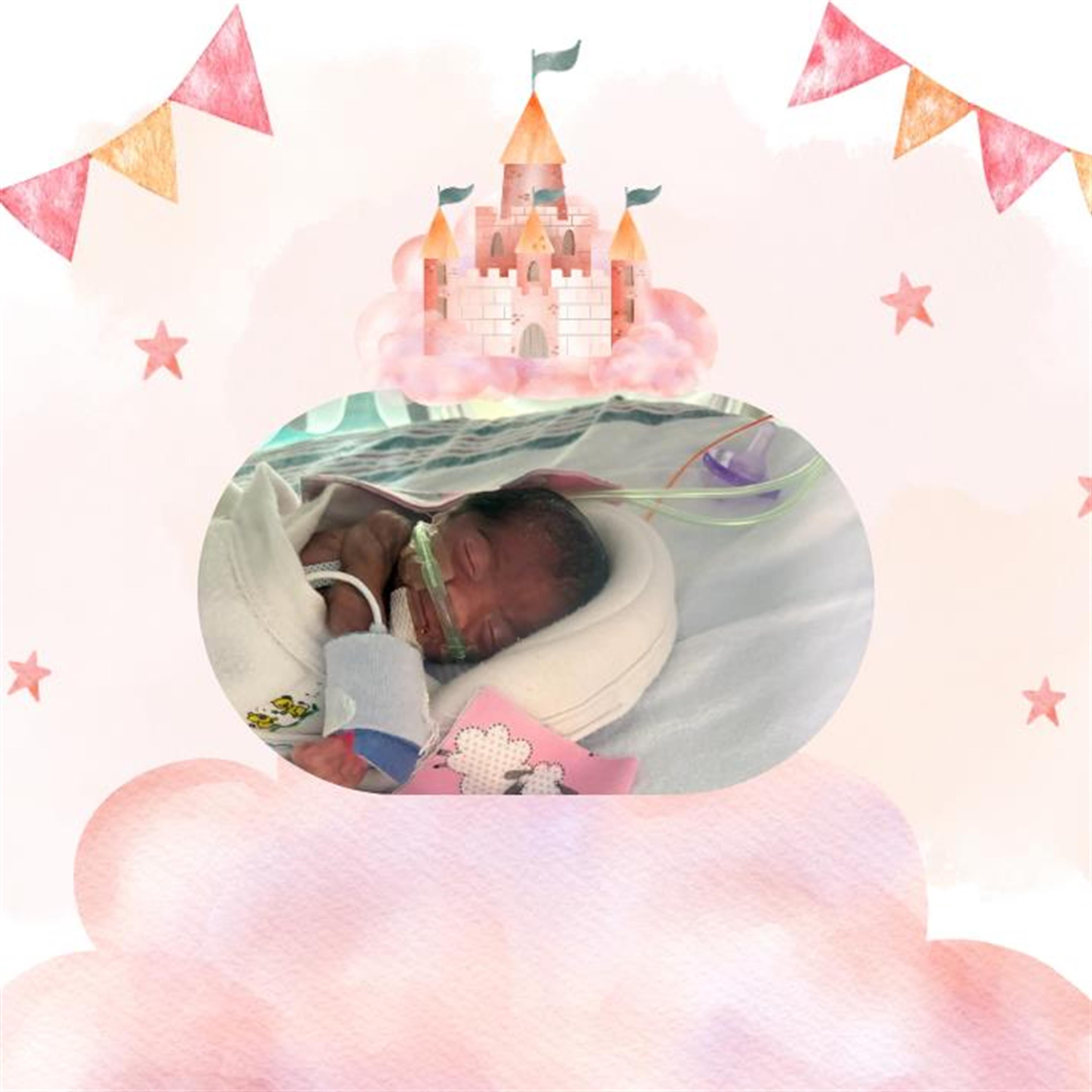 Baby Bria Rae Navarro's obituary picture