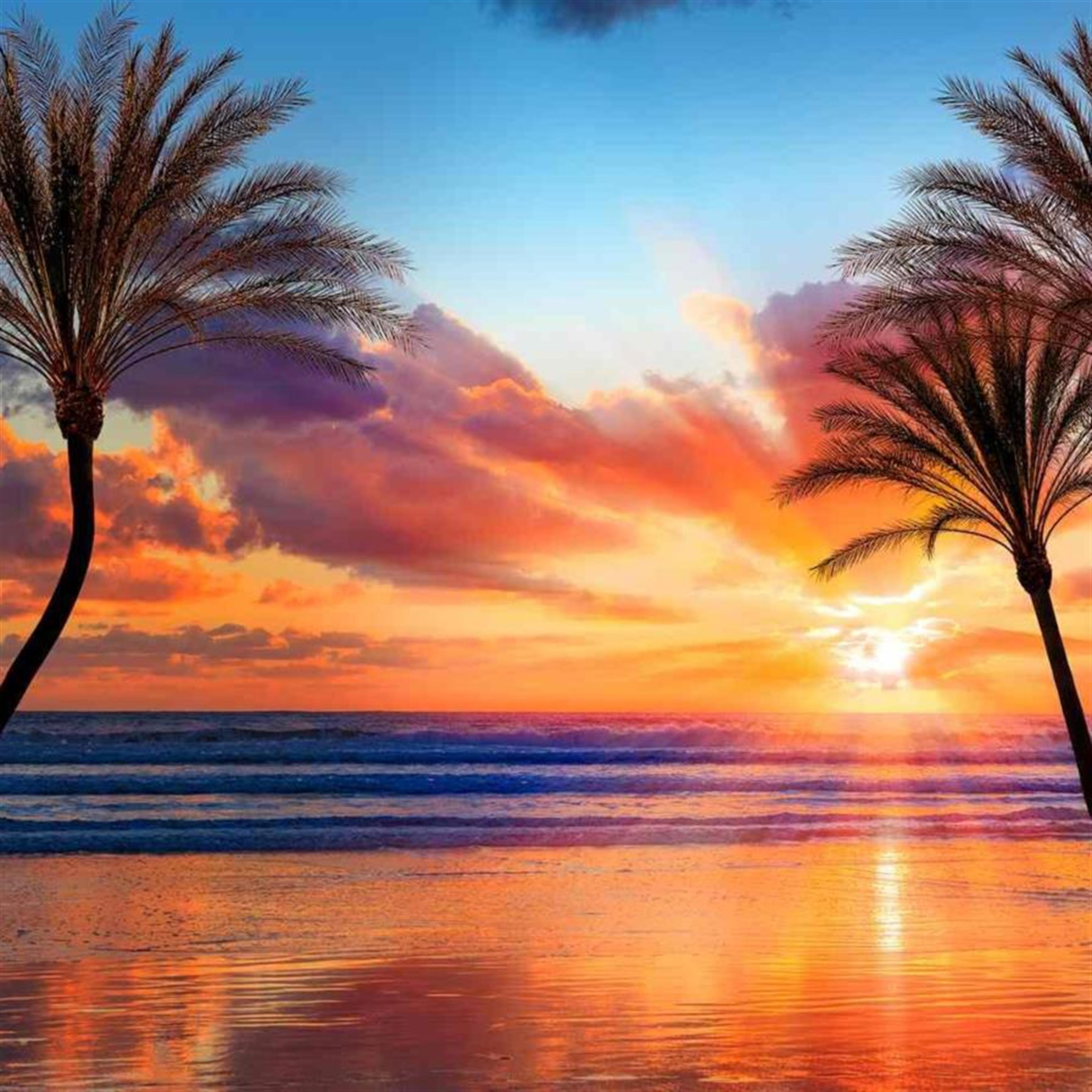 Martin Arbelo Rivera