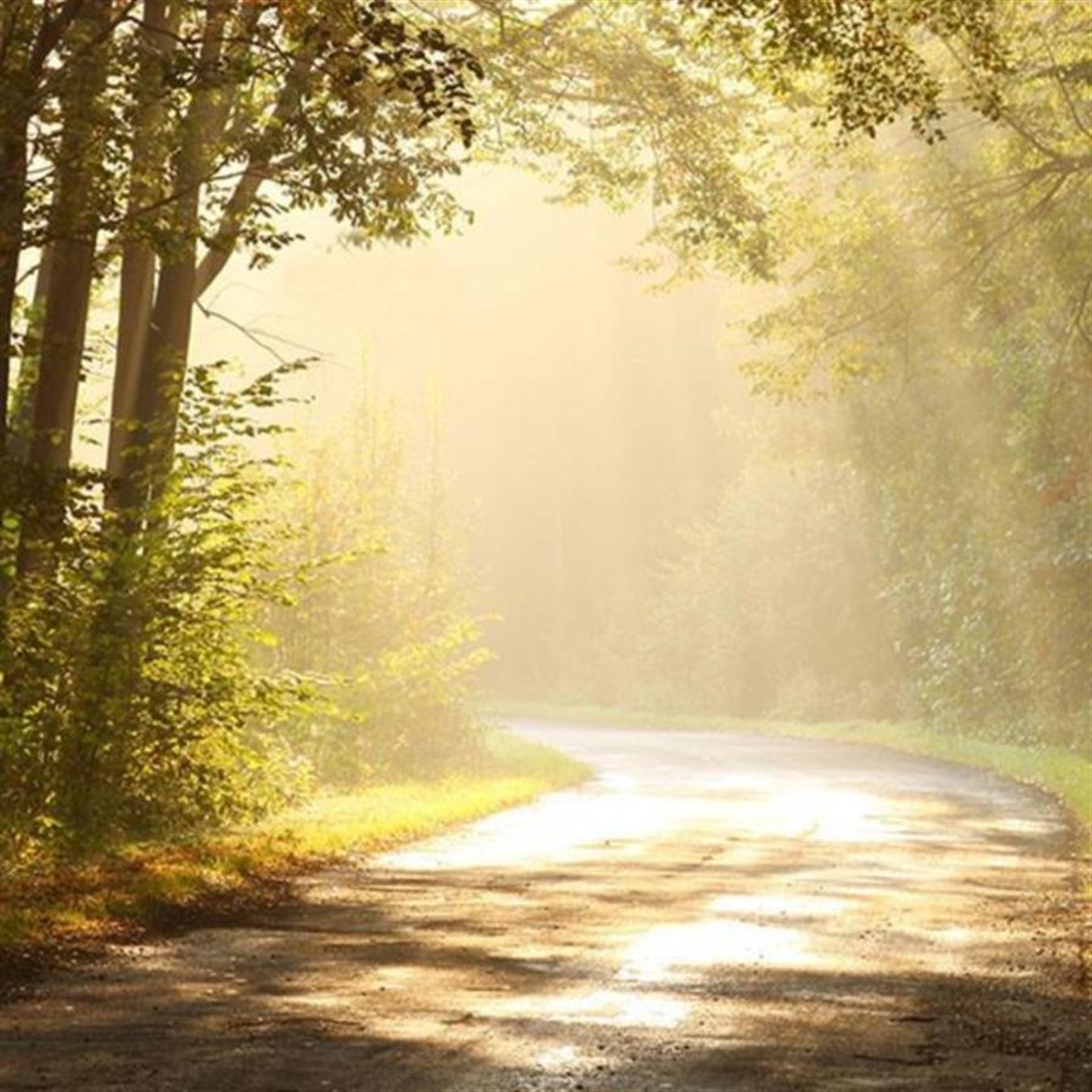 William Dean Miller's obituary picture