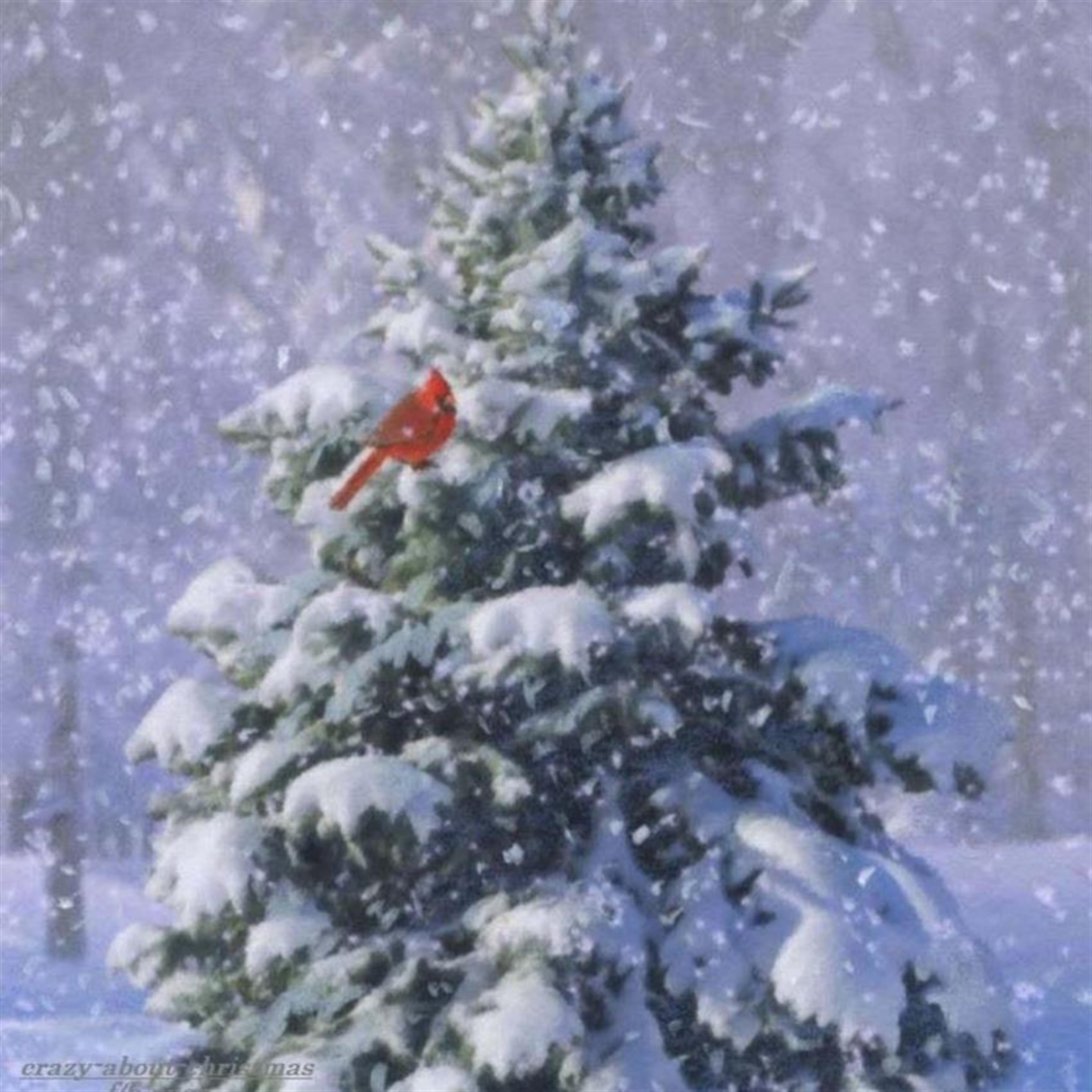 Frank W. Sullivan (Bolivar)