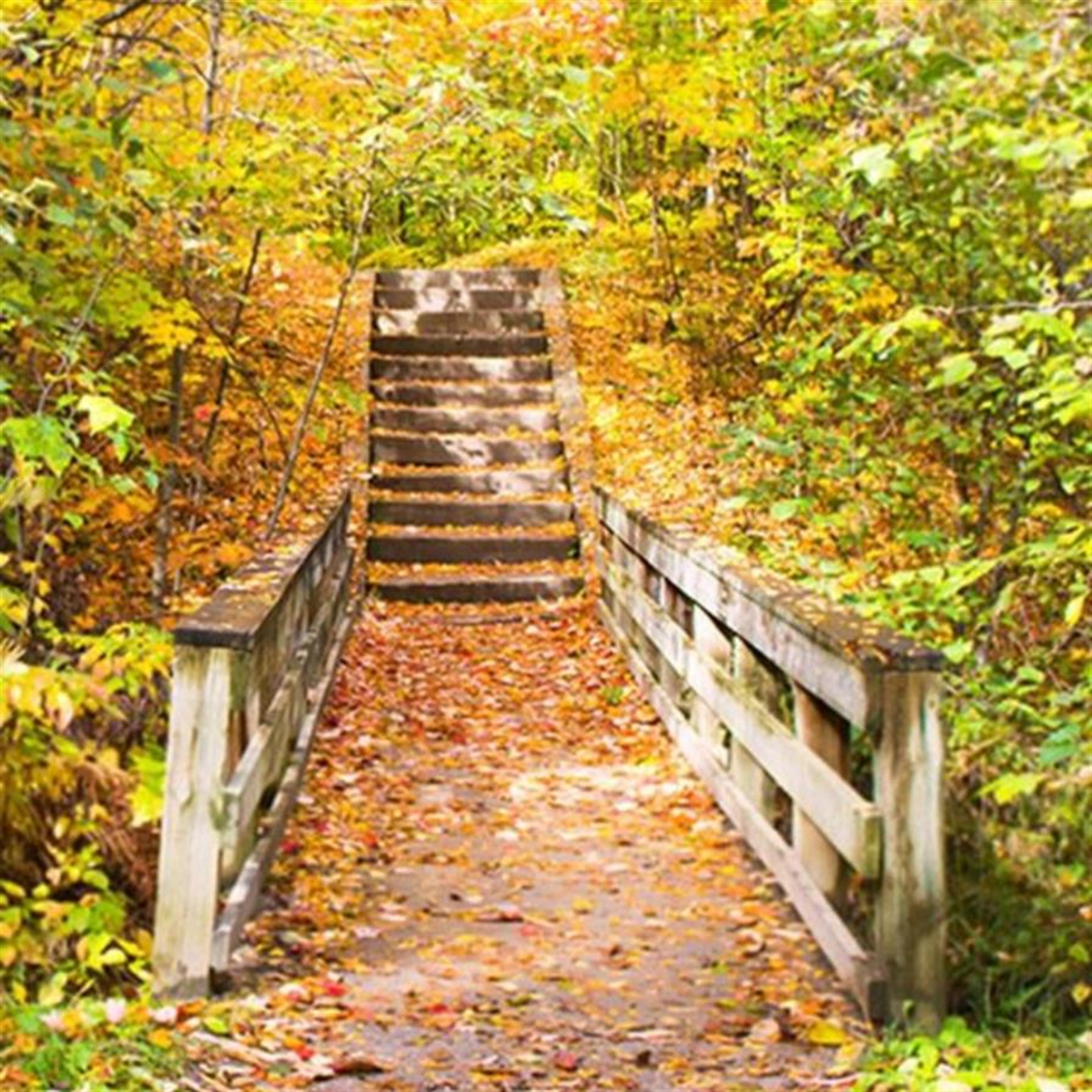 Linda Lee Wittenmyer's obituary picture