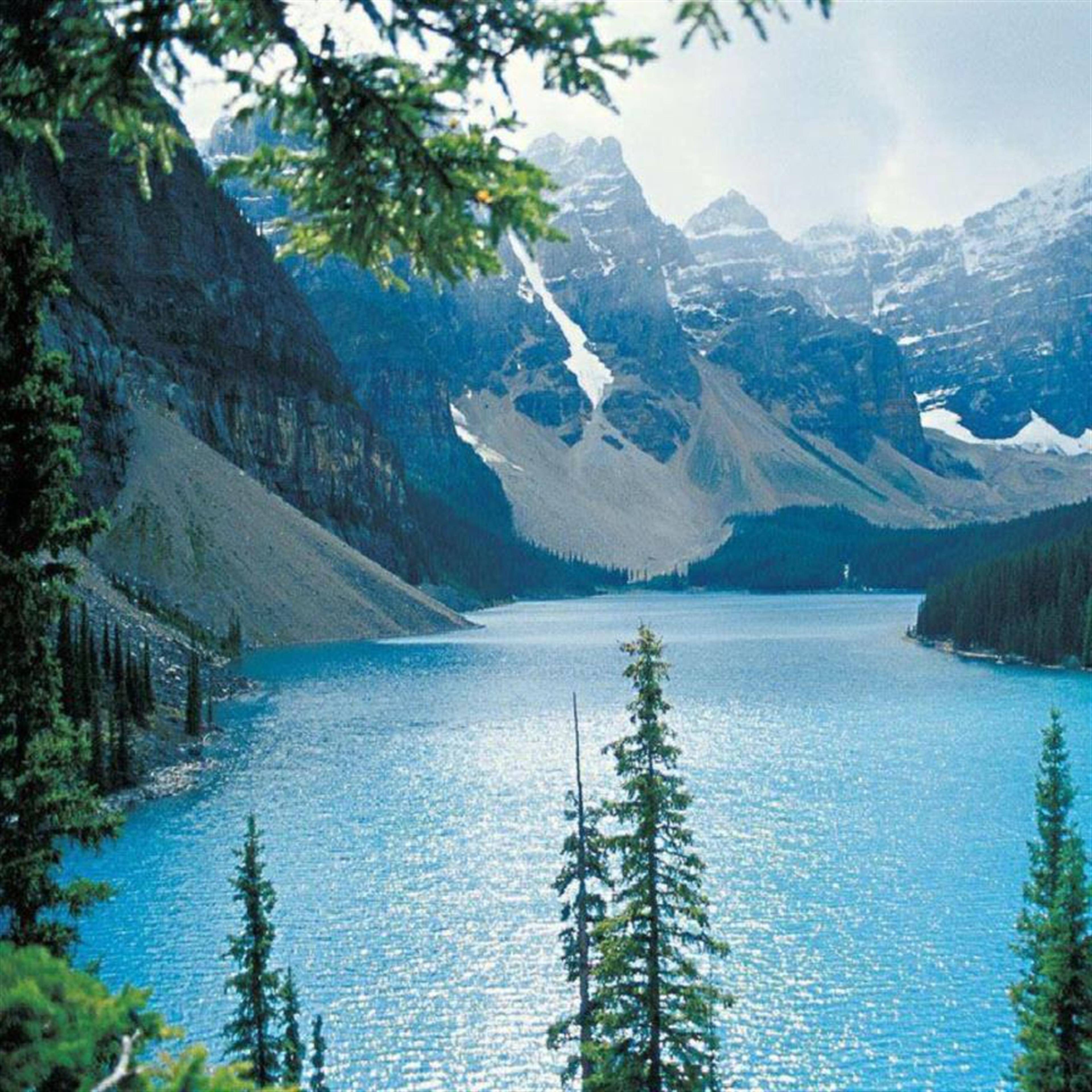 James Douglas McClure's obituary picture