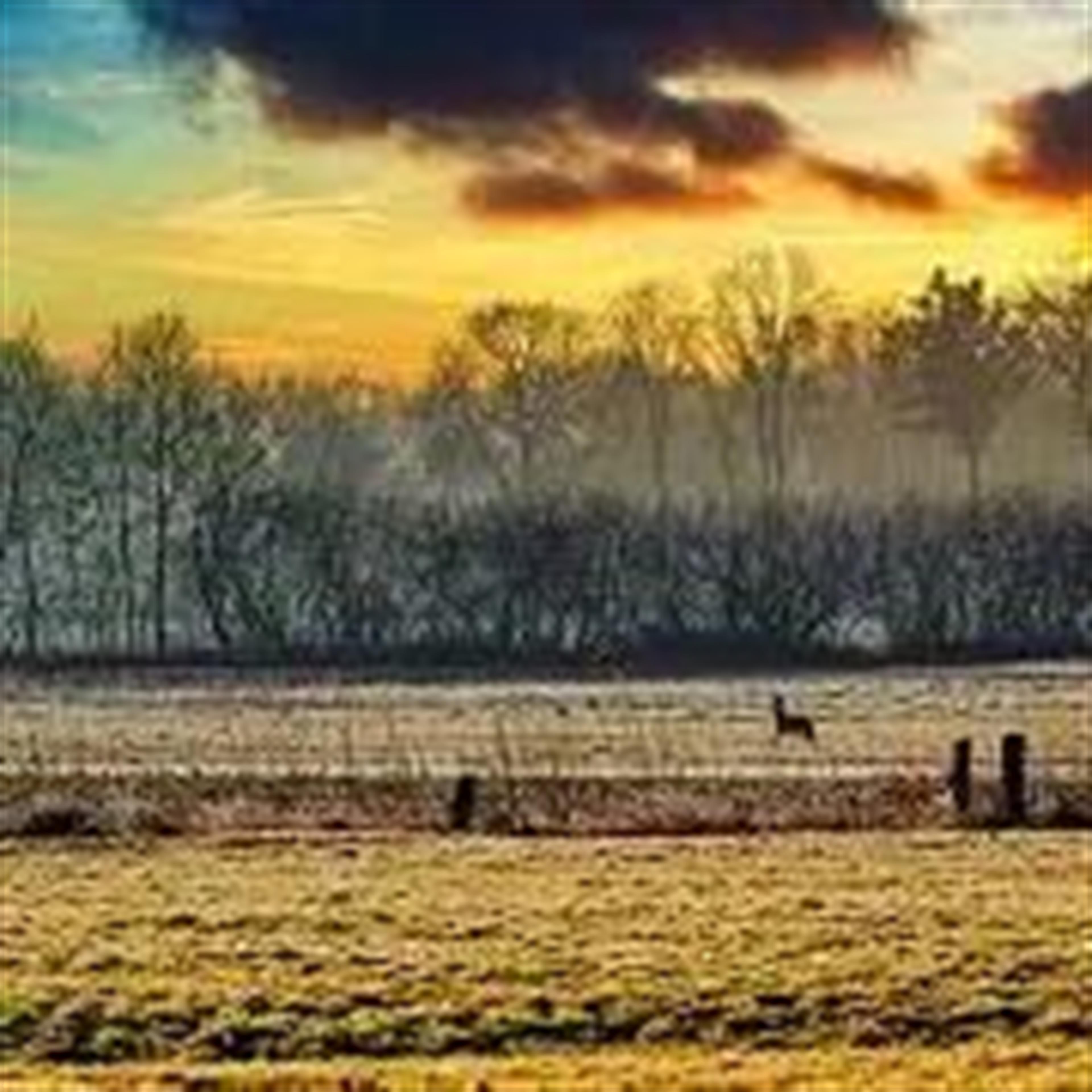 DiPierro, Thomas' obituary picture