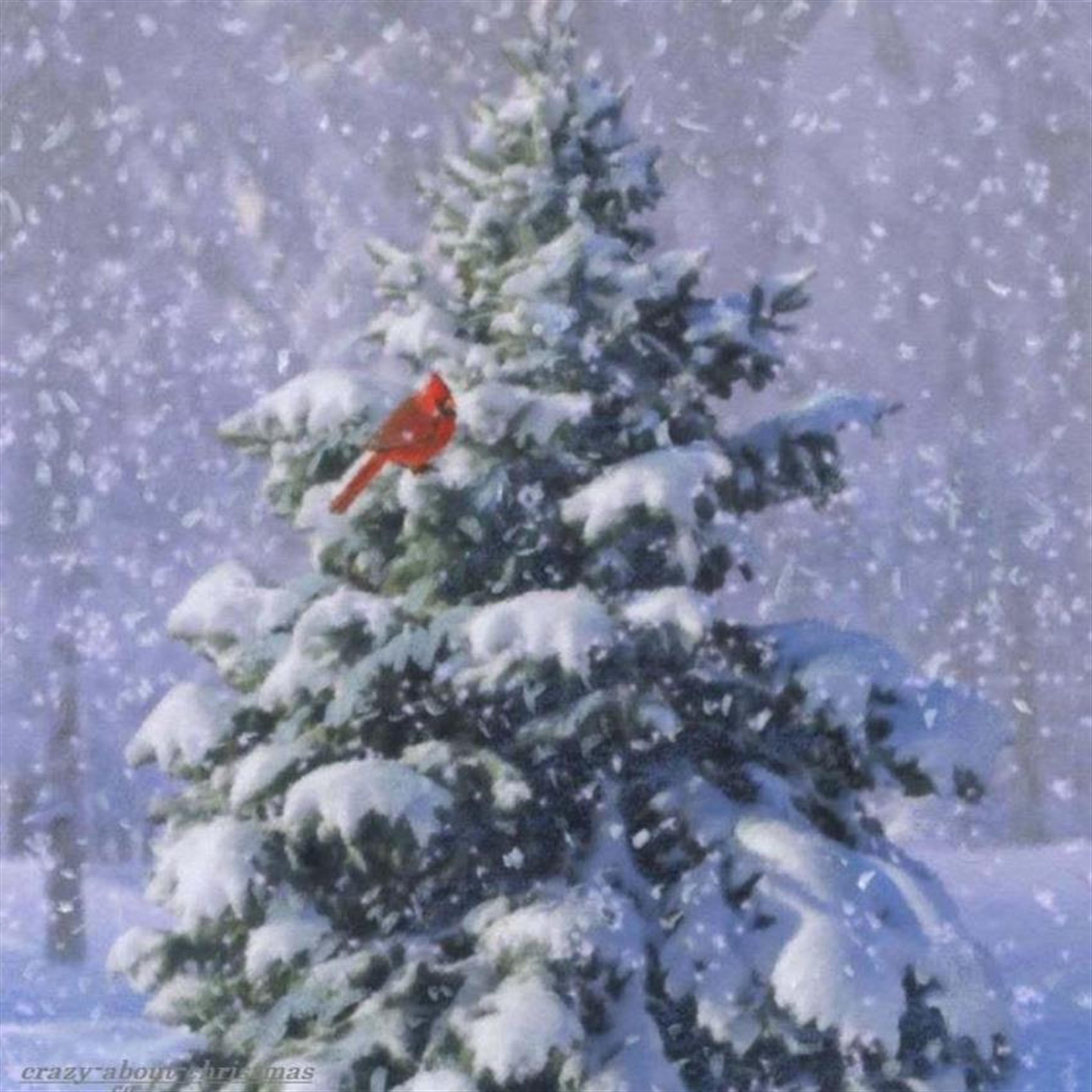 Susan M. Beckwith (Camdenton)