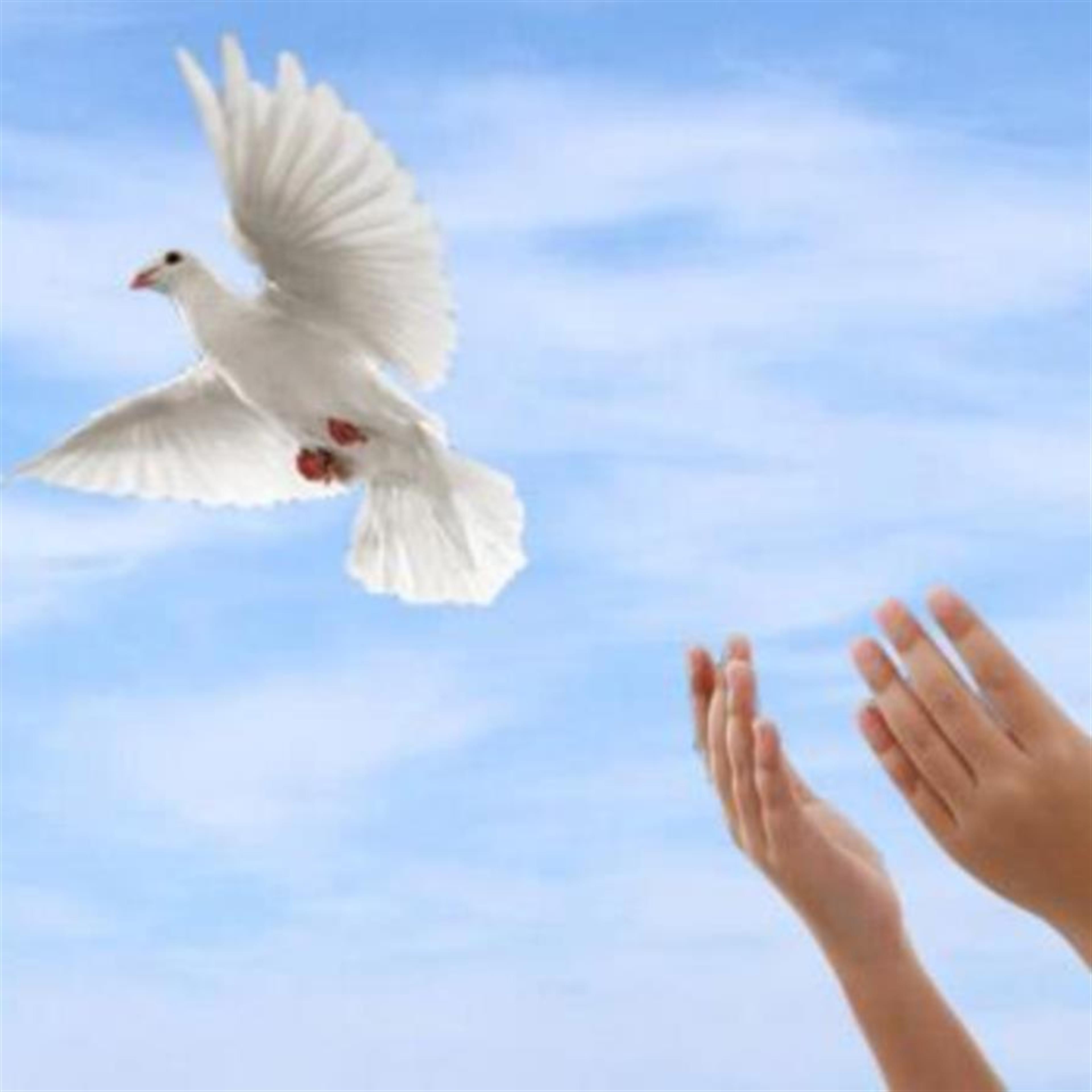 Charles Gary Witt's obituary picture