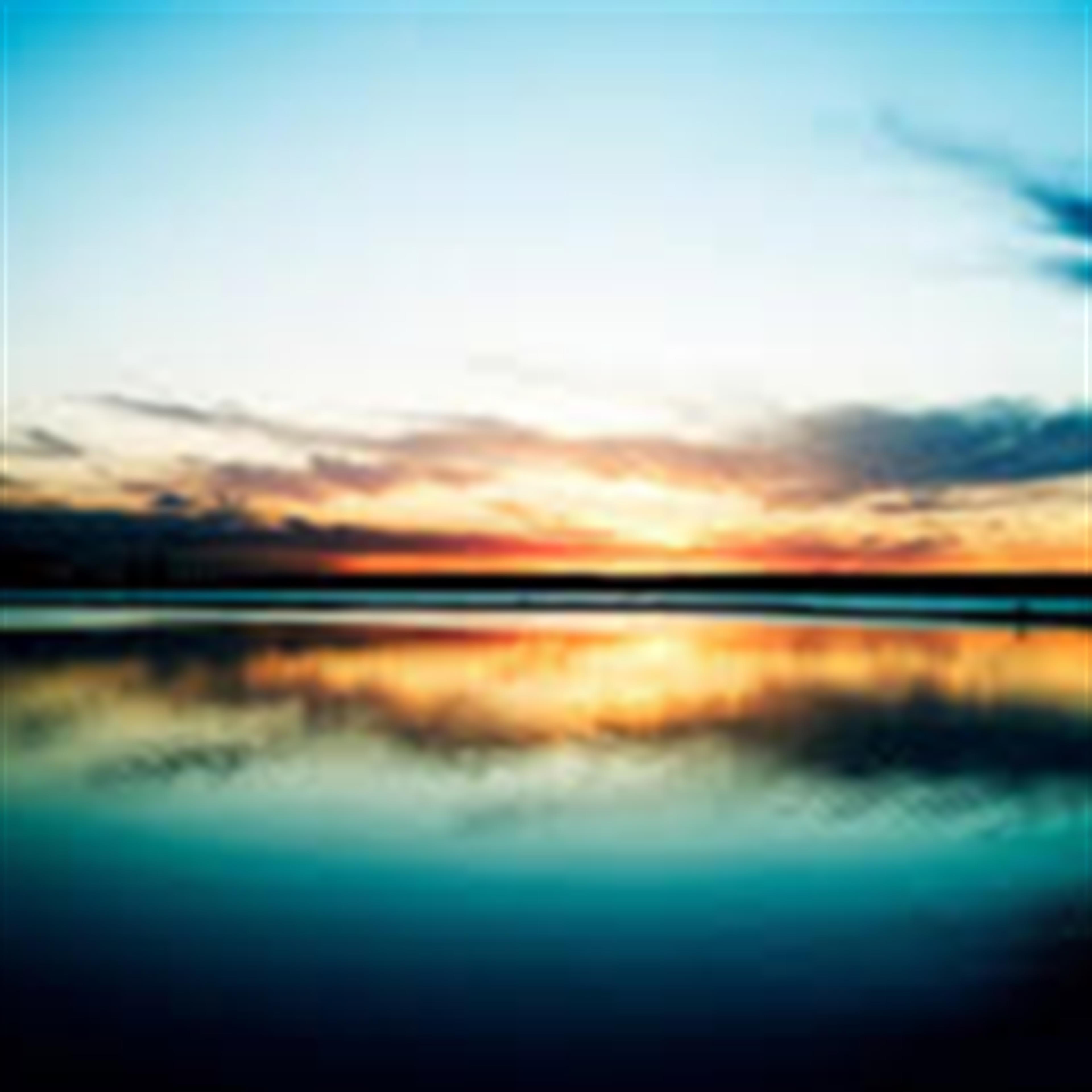 Thelma Gertrude Giarrizzo