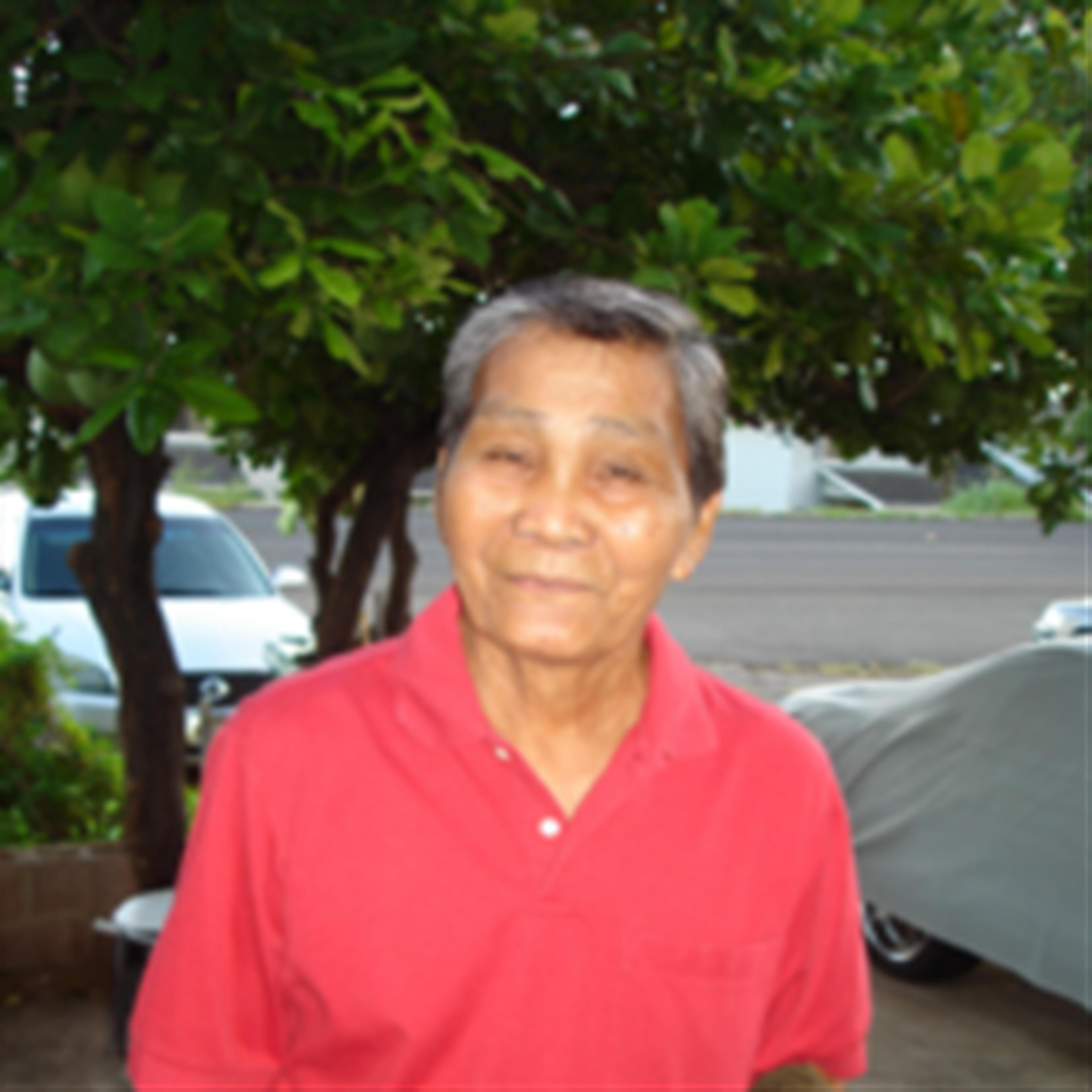 Pedro Bumanglag Salantes