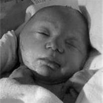Kaylee Marie Wippenbeck