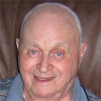 Merlin Petersen