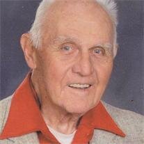 William D'Amour