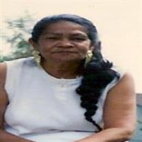 Herminia Ramos Torres