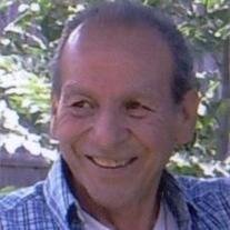 Domingo Martinez 