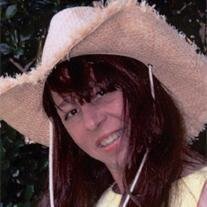 Vicki Ann Higbee 