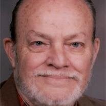 Lewis George Hawkins Jr.