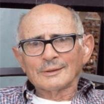 Louis Arthur Biagiotti 