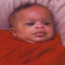 Taylor Reed Johnson