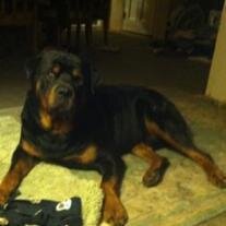 Maximus Perhacs