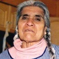 Epigmenia Rosas