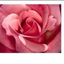 Dorothy (Dottie Kernell) Welch