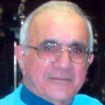 Andrew J. Viselli