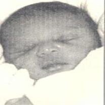 Donovan Daryll Sampson