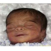 Adriana Miracle Stroud