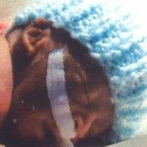 Baby Boy Zamir  Taylor