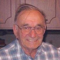 Dominic P.  Marsolek