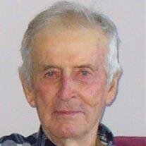 Mr.  Victor Joseph Berthelot