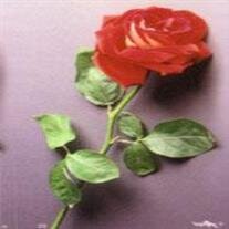 Rosella Young