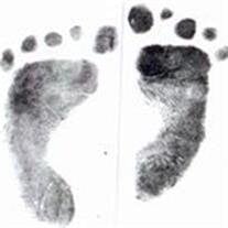 Sean Michael Foster
