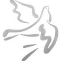 Evangelus "Vine" Komes