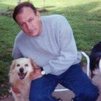 Michael J Fitzgibbon