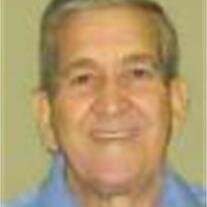 Donald Palmieri