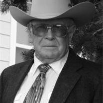 R.  Stephens