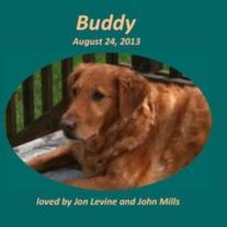 Buddy Levine-Mills
