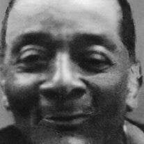 Morris West Wiggins (Smooth)