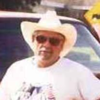 Emilio B. Vega Jr.