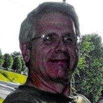 Mark D. Martin