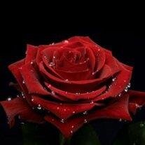 Phyllis JoAnn Rector