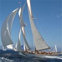 Auburn Netherly,