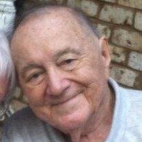 Mr. Daniel Birmeli Dingman