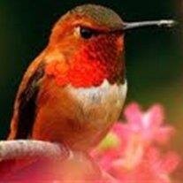 Jeanne Strickland  Roach