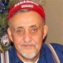 Mr. Paul  Hilaire Gauvin